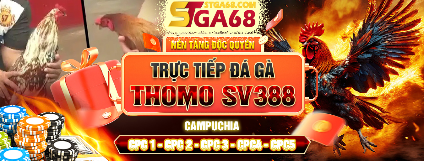 banner-stga68-1